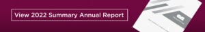 2022 summary annual report