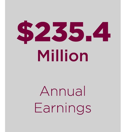 annual earnings