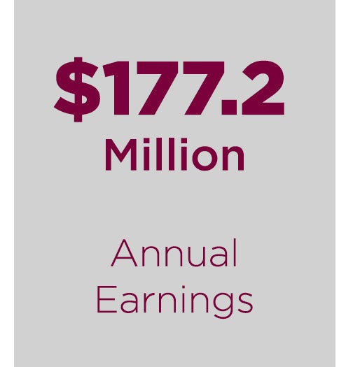 annual earnings