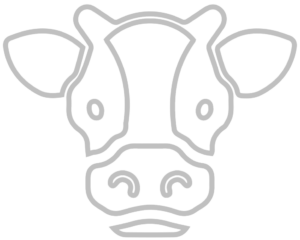 Cow Icon