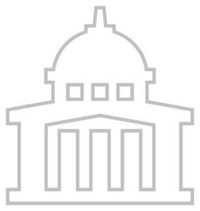 Government Icon
