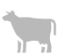 herd and feed line icon