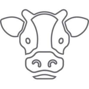 dairy and livestock